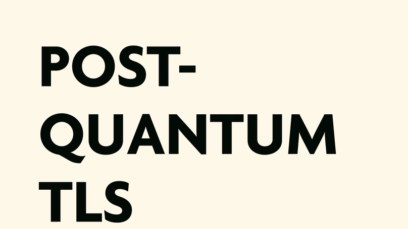 Post-Quantum TLS